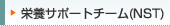 NST�T�|�[�g�`�[��